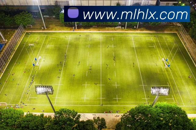 米兰milan官网APP 封面图